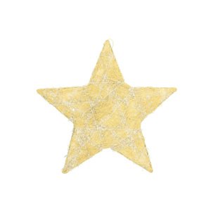 Vánoční ozdoba Golden Star II 25 cm