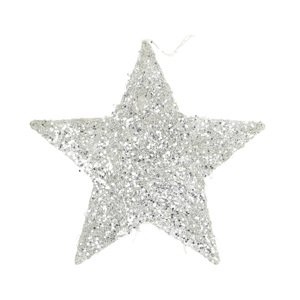Vánoční ozdoba Star Silver 25 cm