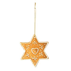 Vánoční výzdoba Gingerbread Star I 10x10 cm